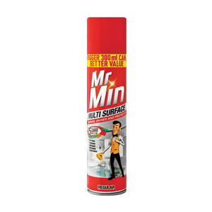 Mr Min Multi Surface Polish Regular 300ml